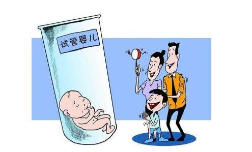 胚胎专家
